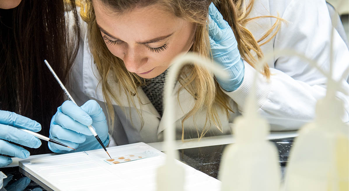 A student working during a lab session